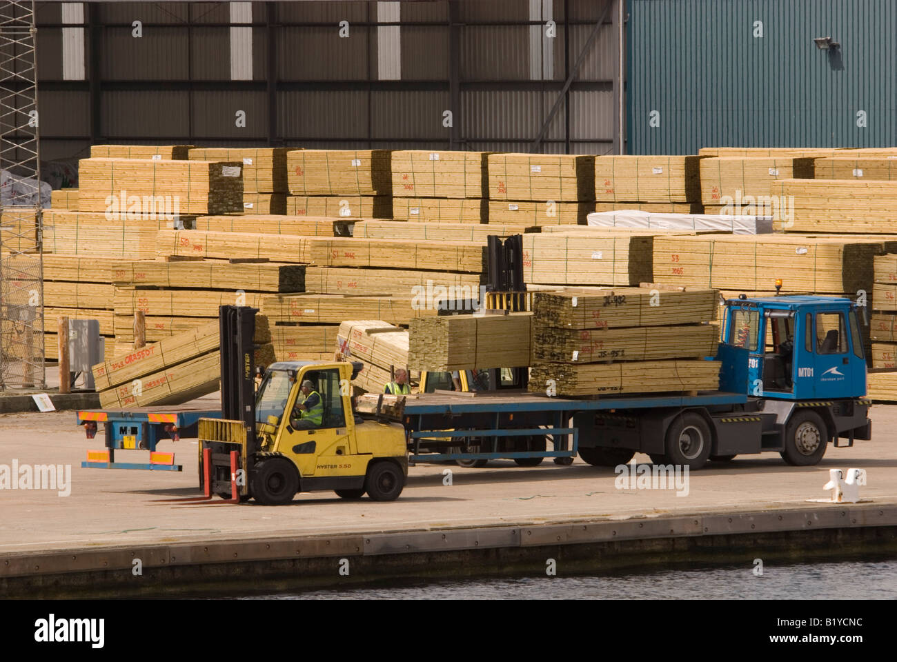 Holz importiert in Shoreham Hafen, Sussex, UK Stockfoto