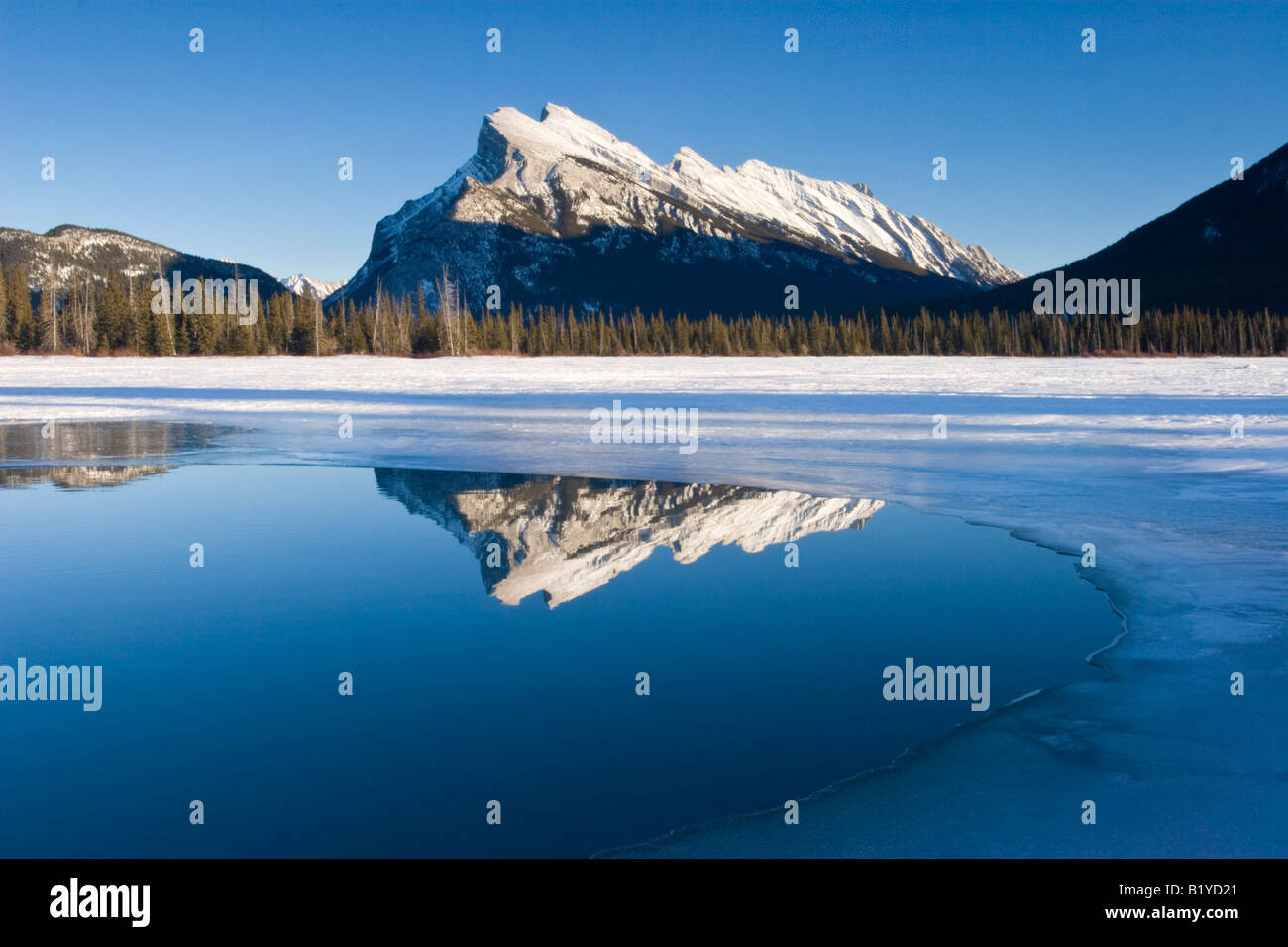 Mount Rundle von Vermilion Lakes Stockfoto