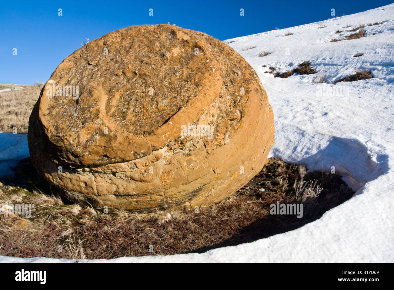 Sandstein-Konkretionen in Red Rock Coulee Naturgebiet, Alberta. Stockfoto
