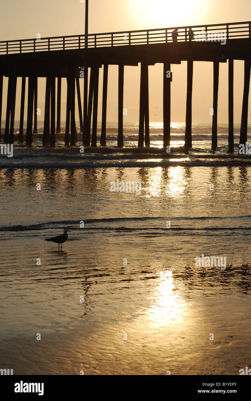 Sonnenuntergang am Beach Pier Stockfoto