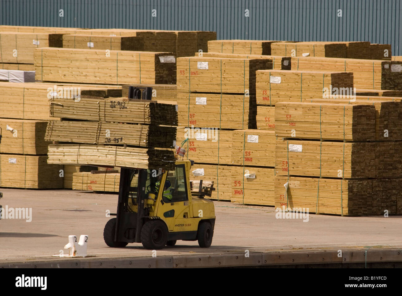 Holz importiert in Shoreham Hafen, Sussex, UK Stockfoto