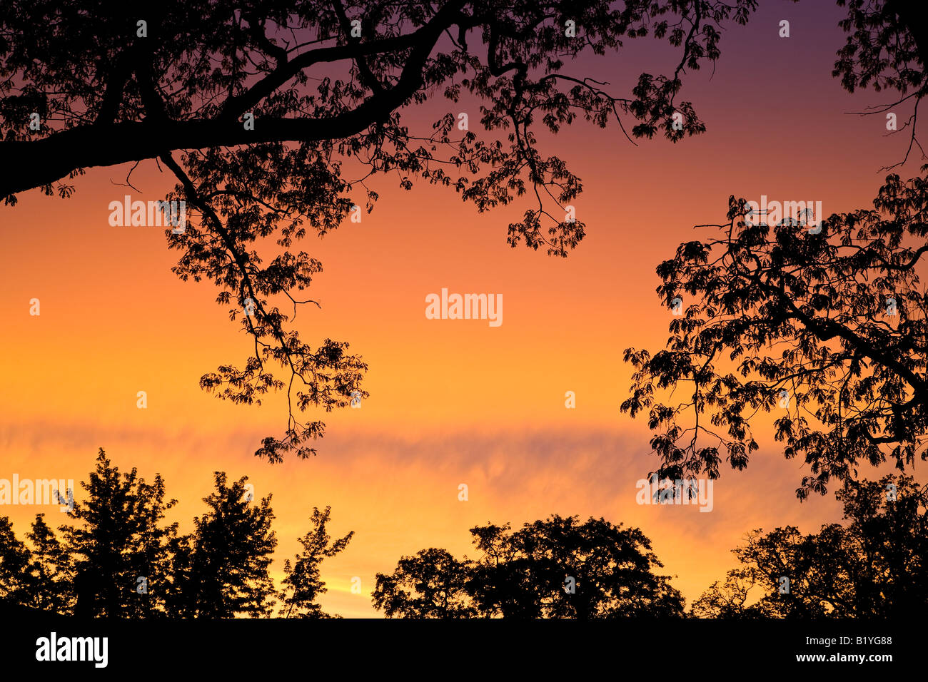 Sonnenuntergang, durch Willard Clay/Dembinsky Foto Assoc Stockfoto