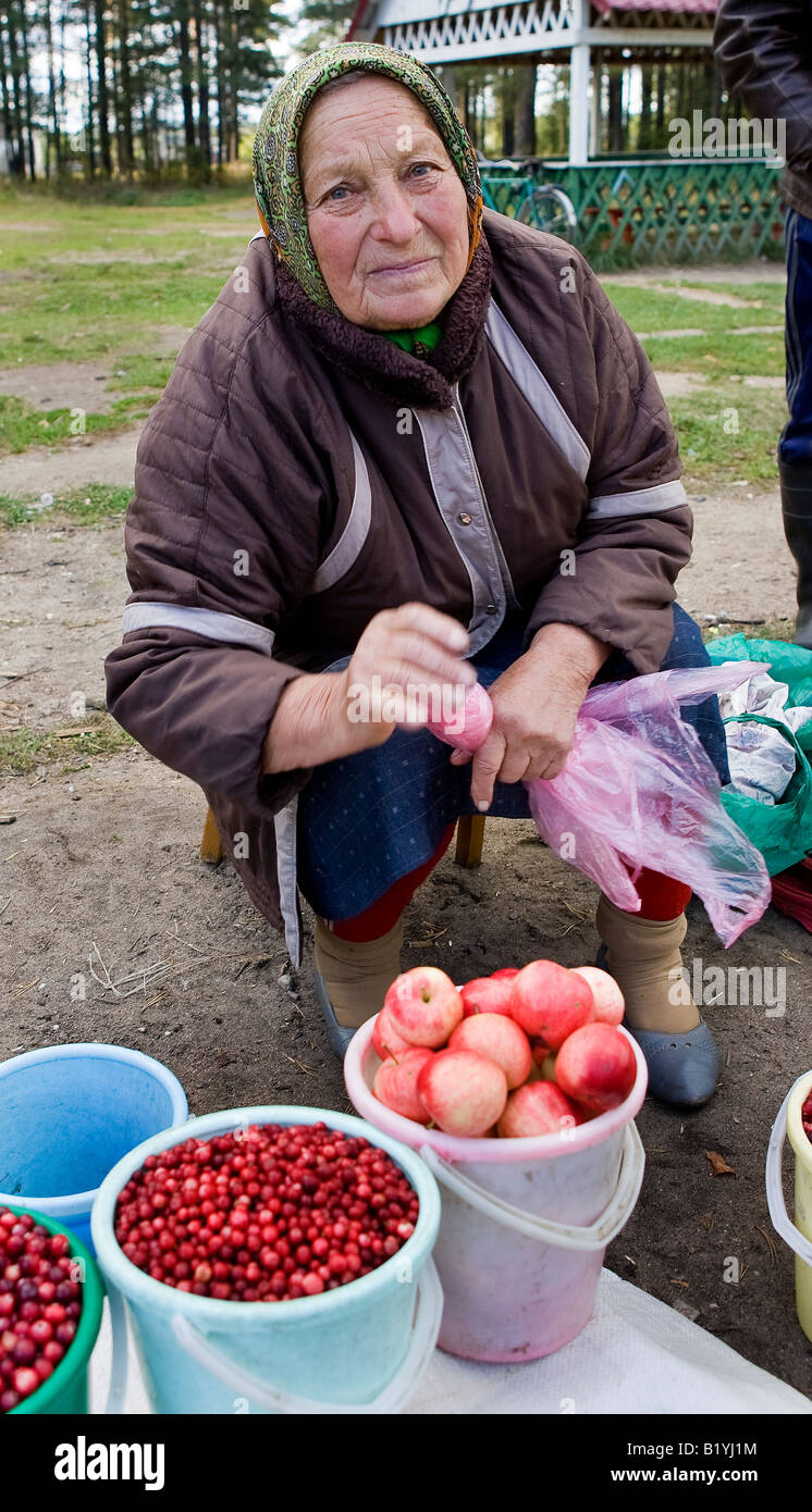 Eine Bäuerin mit Obst am Straßenrand in der Nähe von Vitebsk, Belarus Stockfoto