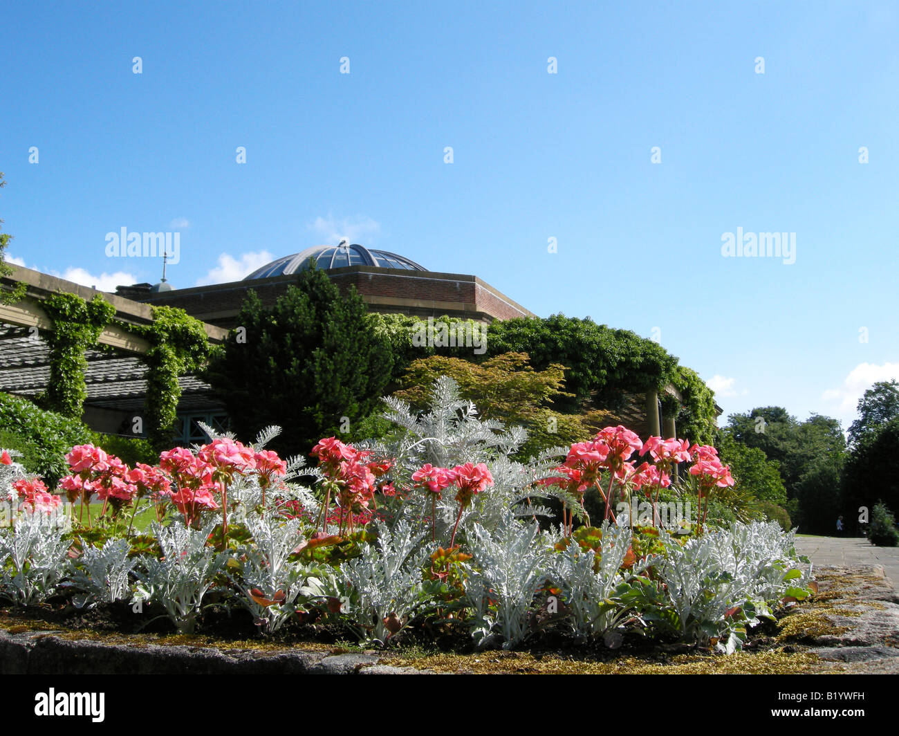 Blumen vor Sonne Pavillon im Tal Gärten harrogate Stockfoto