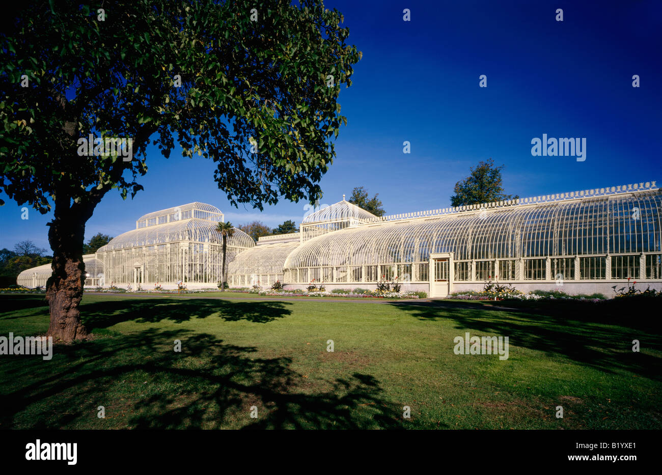 Turner krummlinigen Gewächshaus an den Botanischen Garten Dublin Irland Stockfoto