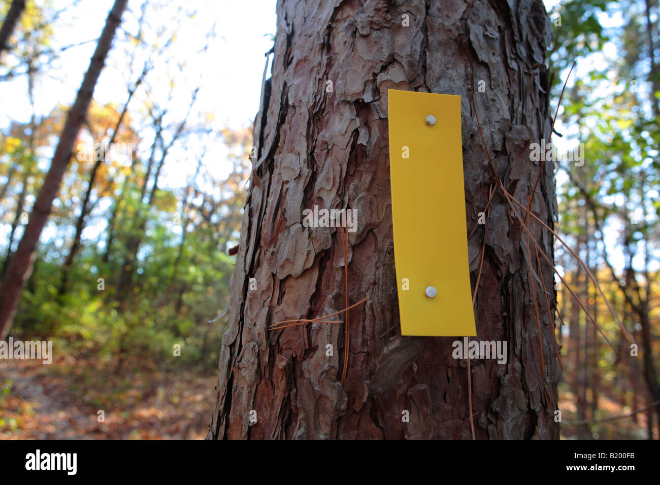 ICE AGE TRAIL BLAZE IN KETTLE MORAINE STAATSWALD SÜDLICHEN EINHEIT WISCONSIN USA Stockfoto