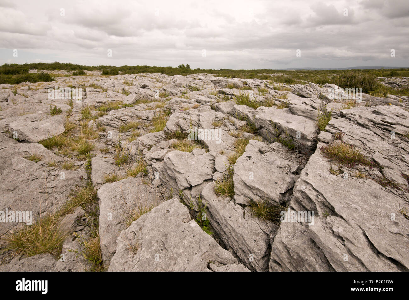 Der Burren, County Clare, Irland Stockfoto