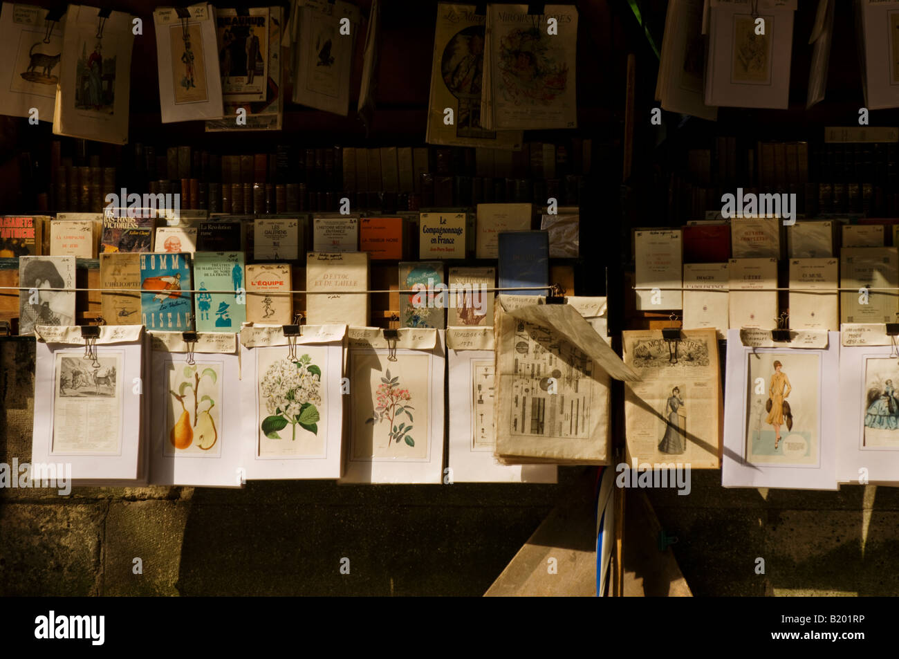 Kunst und Buch stehen am Ufer der Seine im Quartier Latin von Paris, Frankreich. Stockfoto