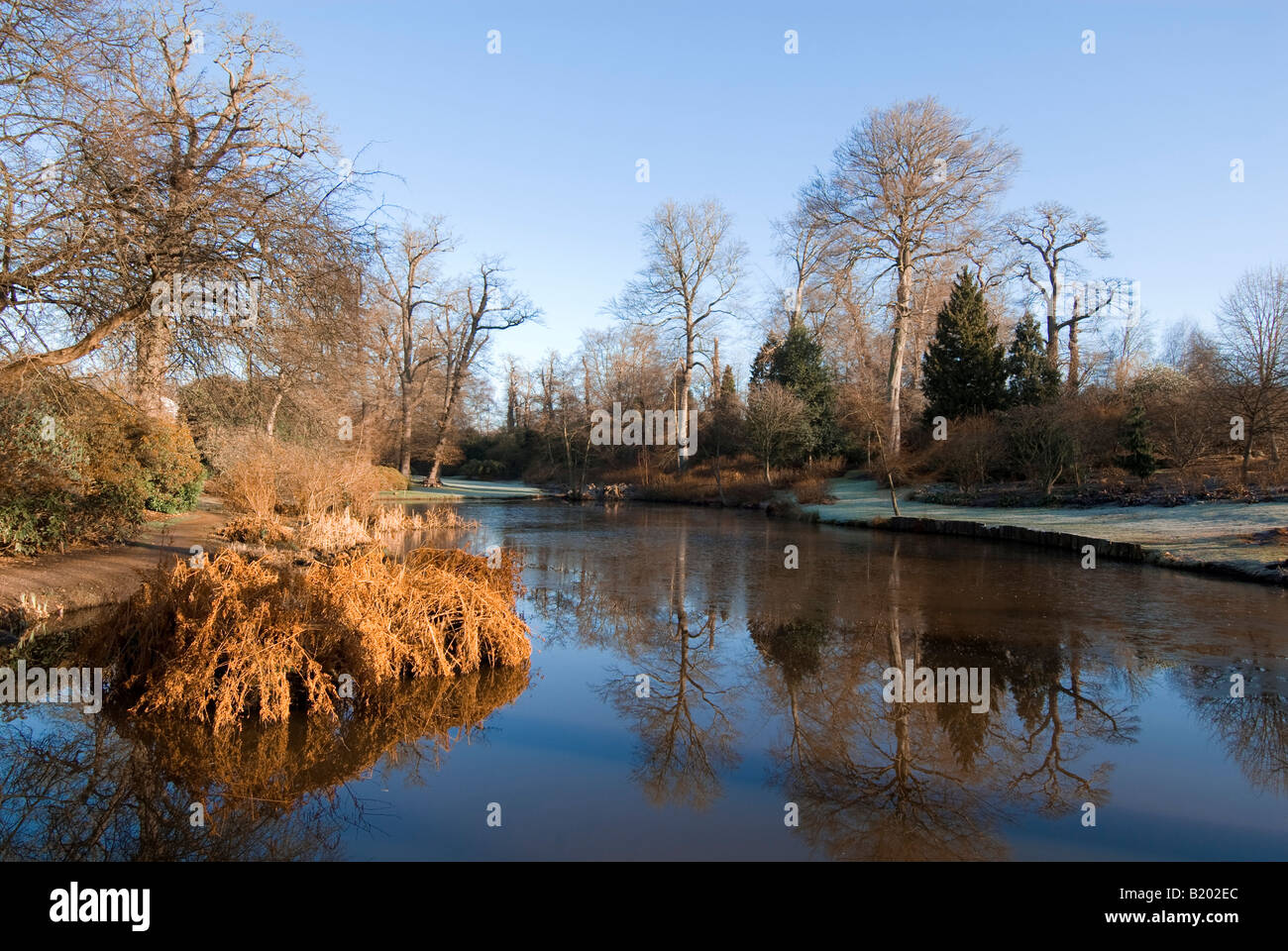 See im Savill Garden, Windor im Winter Stockfoto