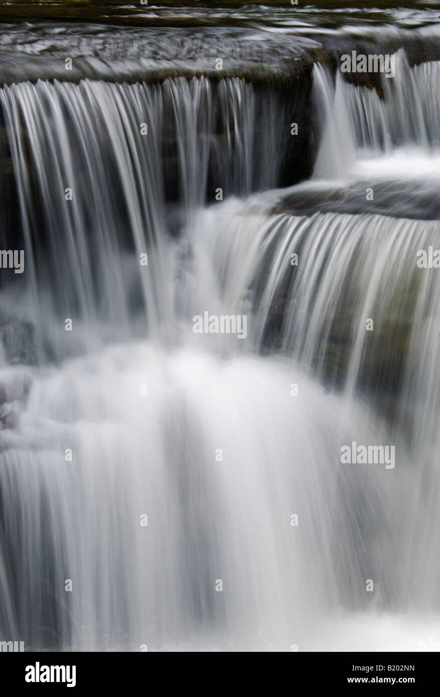 Kaskaden auf Rinde Camp Creek in Daniel Boone National Forest Whitley County Kentucky Stockfoto