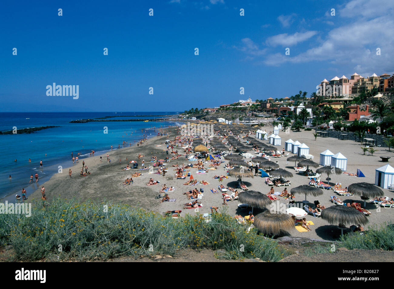 Playa-Adeje Teneriffa-Kanarische Inseln-Spanien Stockfoto