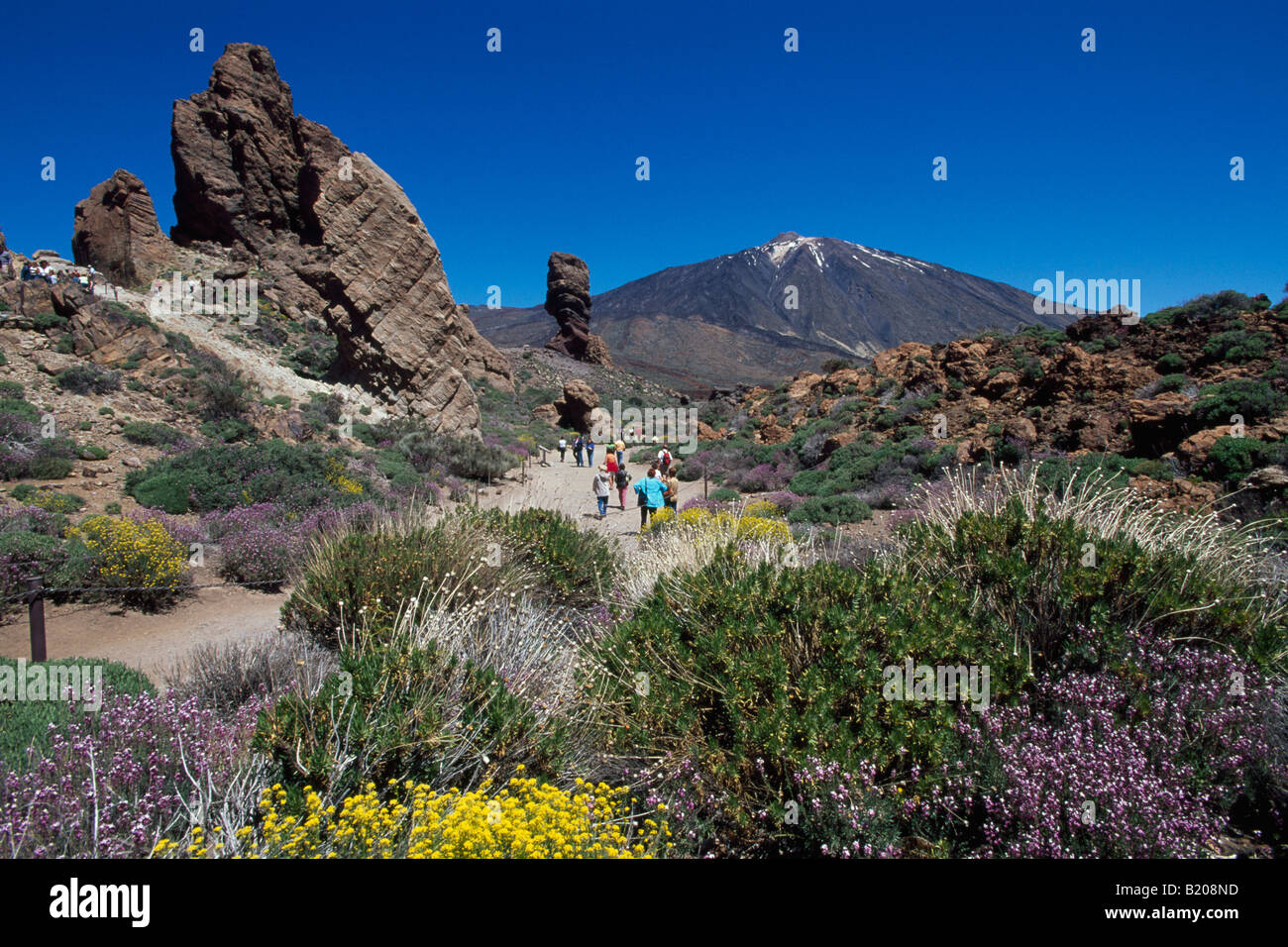 Los Roques und den Teide Teneriffa-Kanarische Inseln-Spanien Stockfoto