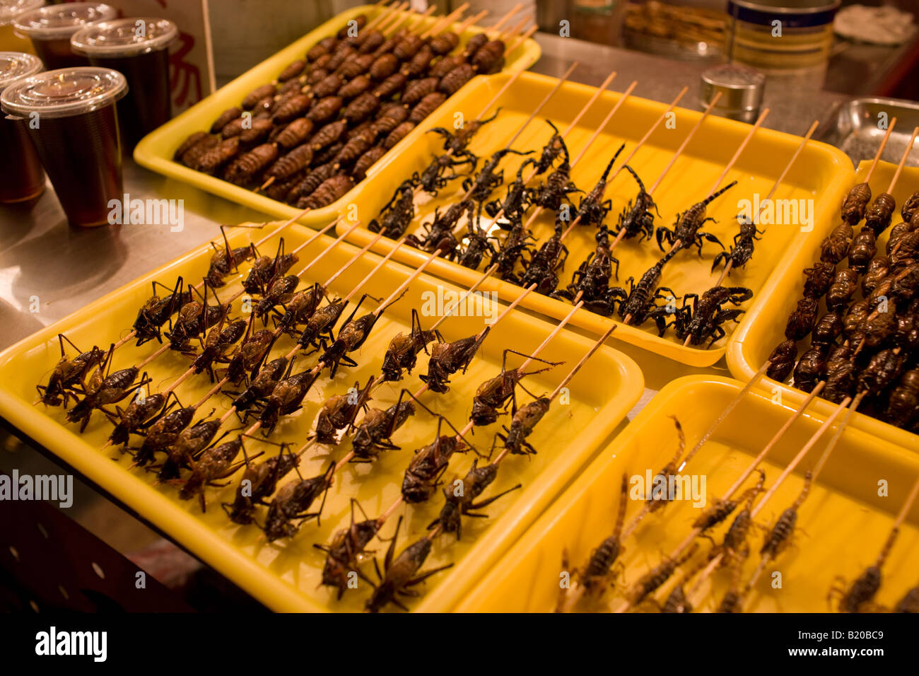 Frittierte Heuschrecken Seidenraupen und Skorpione zum Verkauf in der Nacht Markt Wangfujing Street Peking China Stockfoto