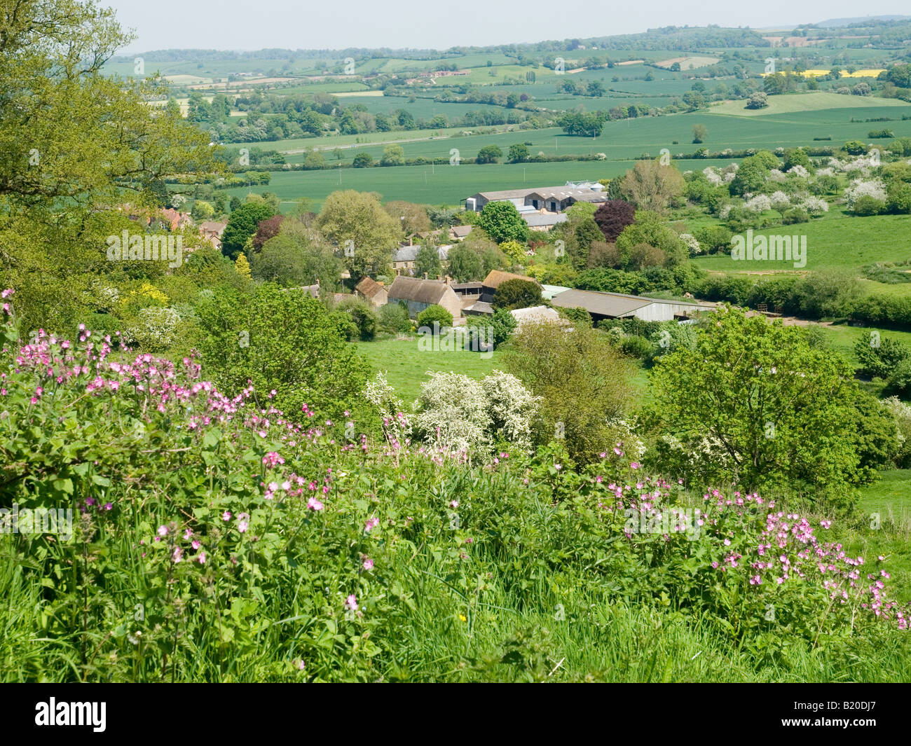 Landschaft rund um den Hügel Fort von Cadbury Castle, in das Dorf von Süden Cadbury Somerset UK Stockfoto