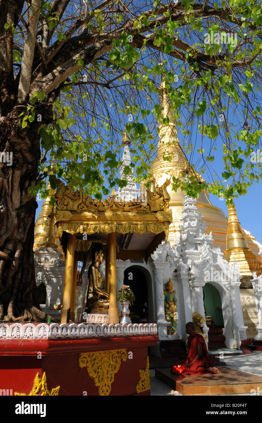 Shwedagon Pagode Rangun Birma Stockfoto
