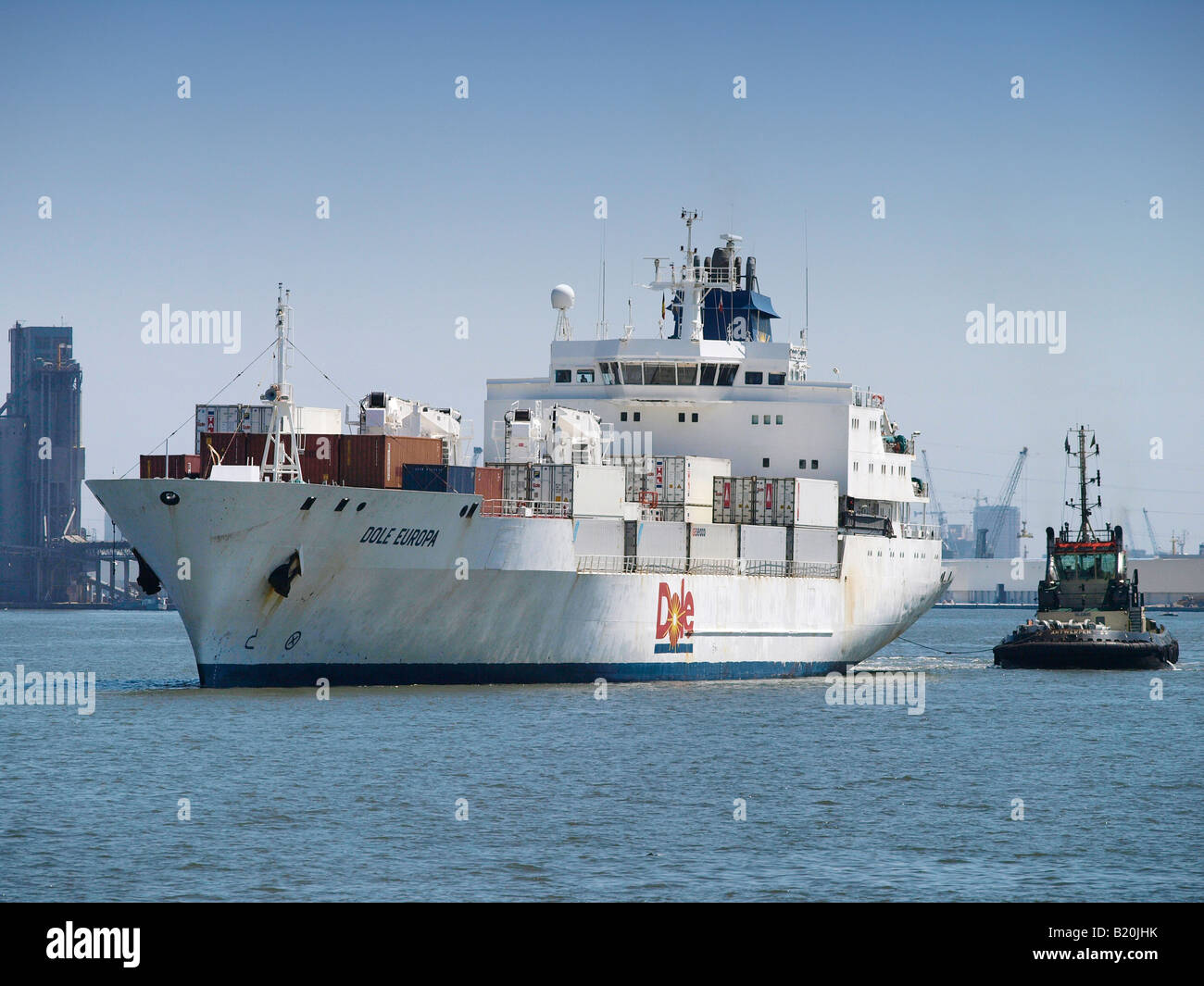 Dole globale Frucht Transportschiff in den Hafen von Antwerpen, die Europa s premier Frucht und Gemüse Import Hafen Belgien Stockfoto