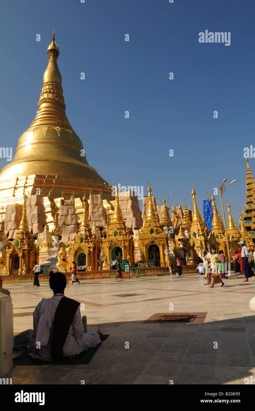 Guru, beten an der Shwedagon-Pagode, Rangun, myanmar Stockfoto