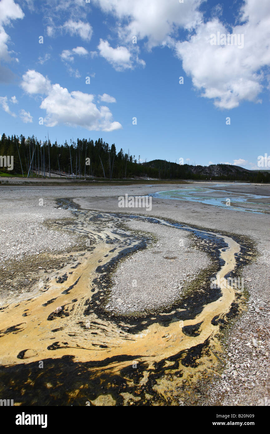 Norris Geyser Basin Yellowstone-Nationalpark Wyoming USA Stockfoto