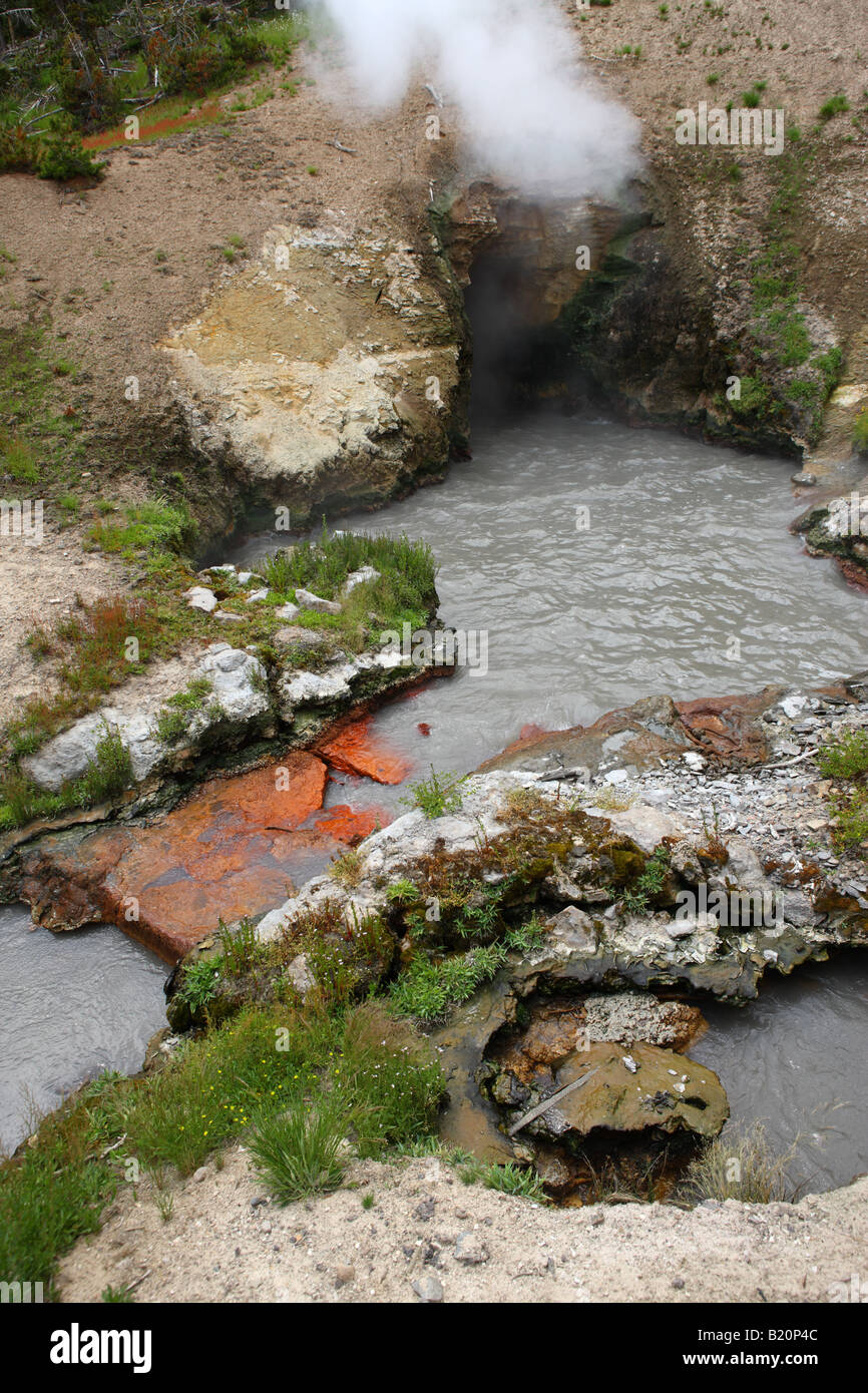 Drachen s Mund Frühling Schlamm Bereich Yellowstone Nationalpark Vulkan Stockfoto