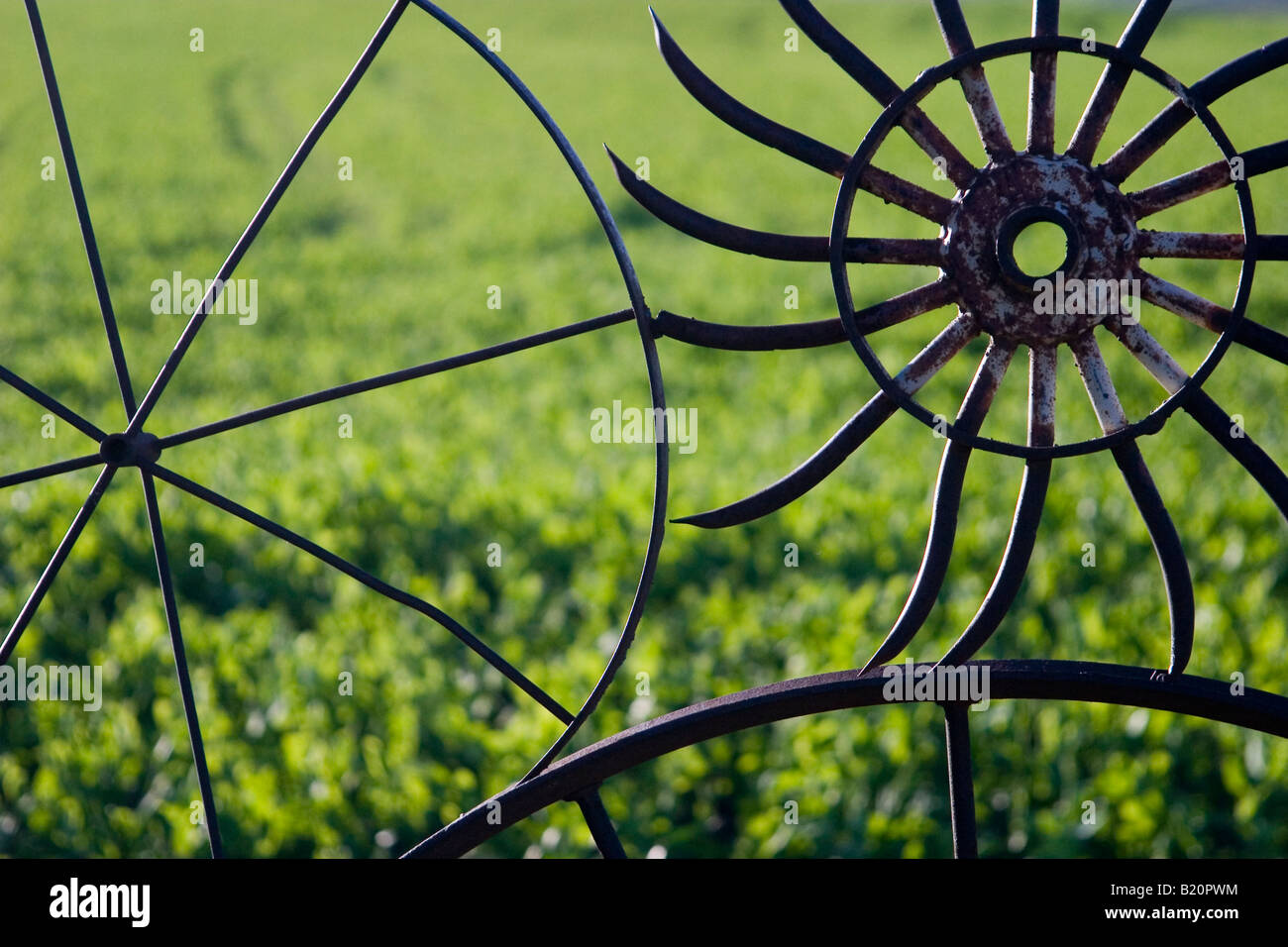 Rad-Zaun an Dahmen Farm Palouse Washington Stockfoto