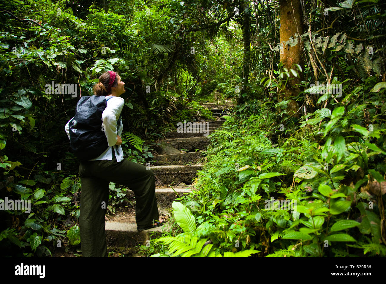 Sabah Malaysia Borneo Kinabalu Nationalpark Touristen bewundern die üppigen Dschungel in der Nähe von überdachunggehweg in Poring Hot Springs Stockfoto