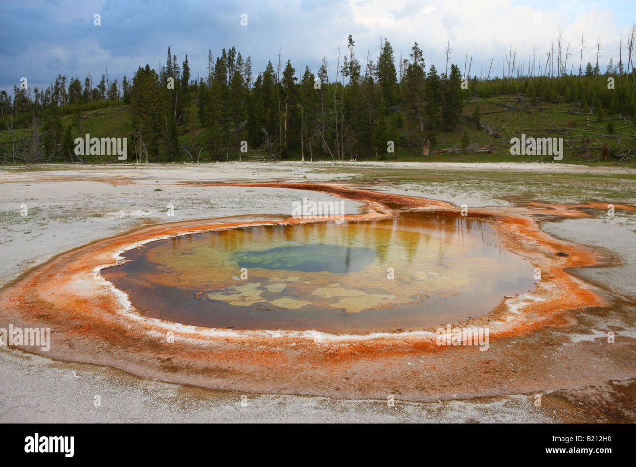 Chromatischer Pool Upper Geyser Basin Yellowstone-Nationalpark Stockfoto