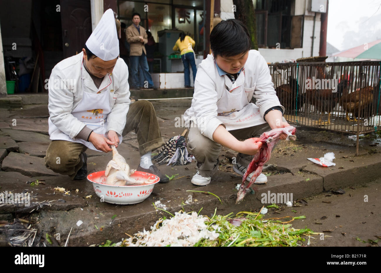 Chinesische Köche Kaninchen ausnehmen und Rupfen Hähnchen Restaurant Kunden an Bao Ding in der Nähe von Chongqing China Kochen Stockfoto