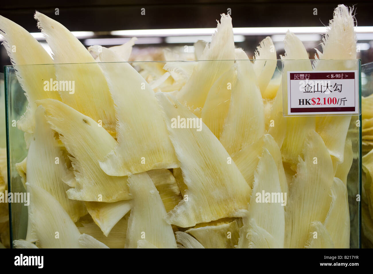 Flossen der Haie auf Verkauf im Shop in Wing Lok Street Sheung Wan Hong Kong China Stockfoto