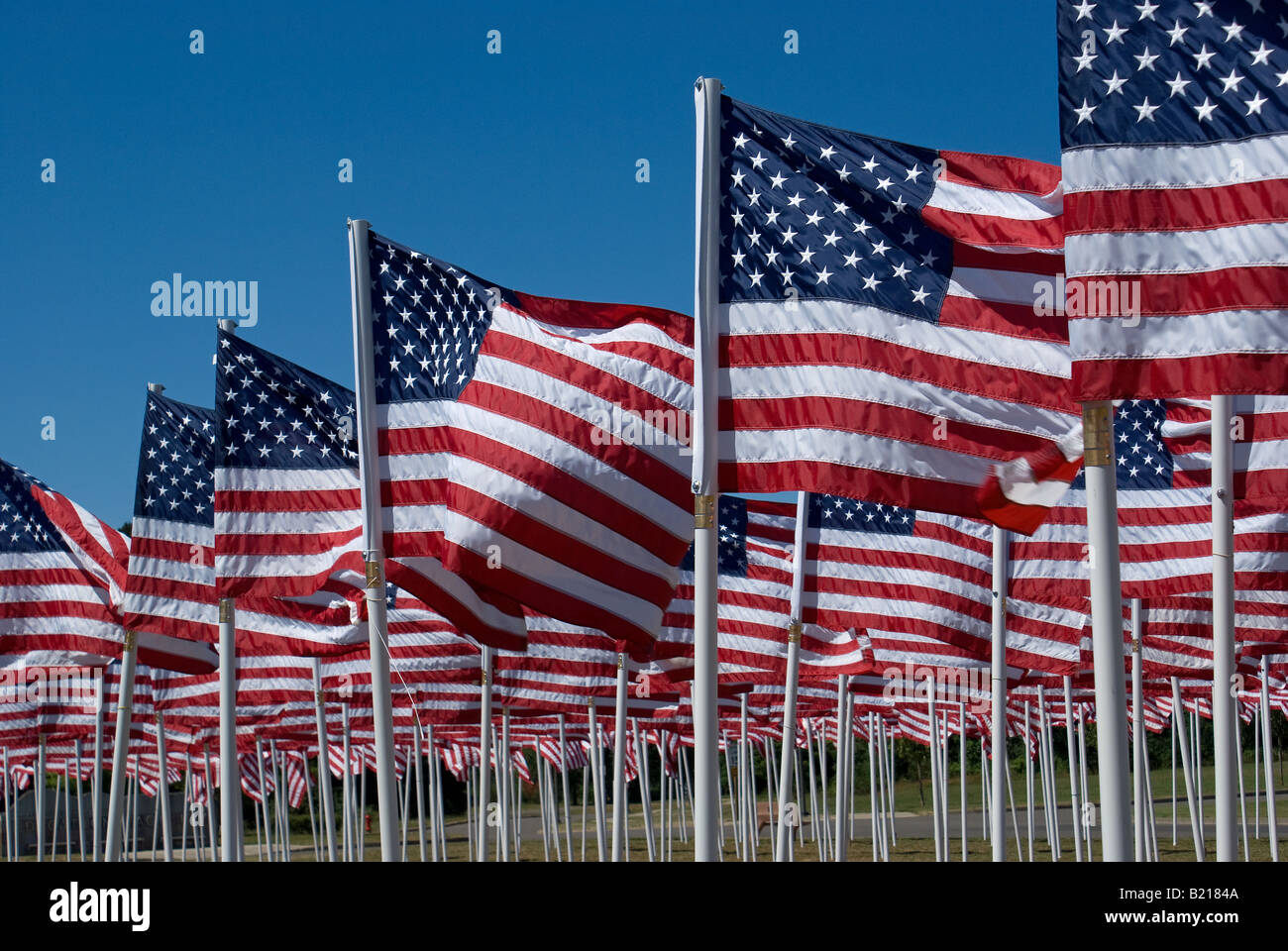 Bereich der amerikanischen Flaggen Stockfoto