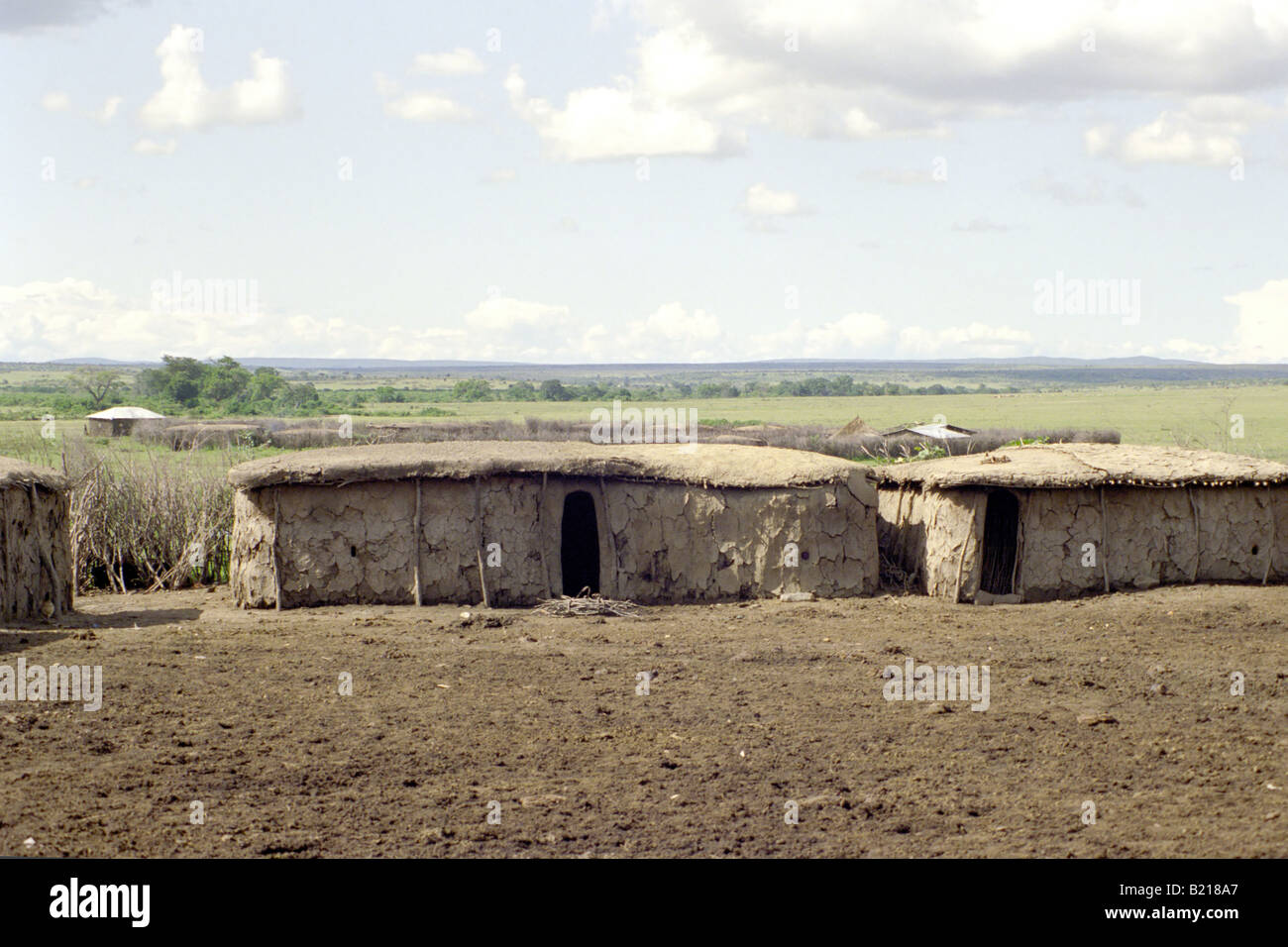 Traditionelle Maasai Hütten (Inkajijik) aus Holz, Schlamm und Dung
