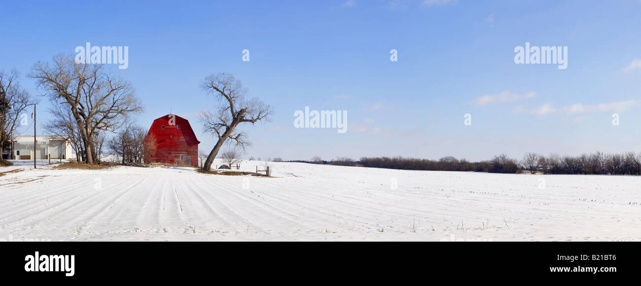 Eine rote Scheune im Schnee im ländlichen Nebraska 1. Januar 2008 Stockfoto