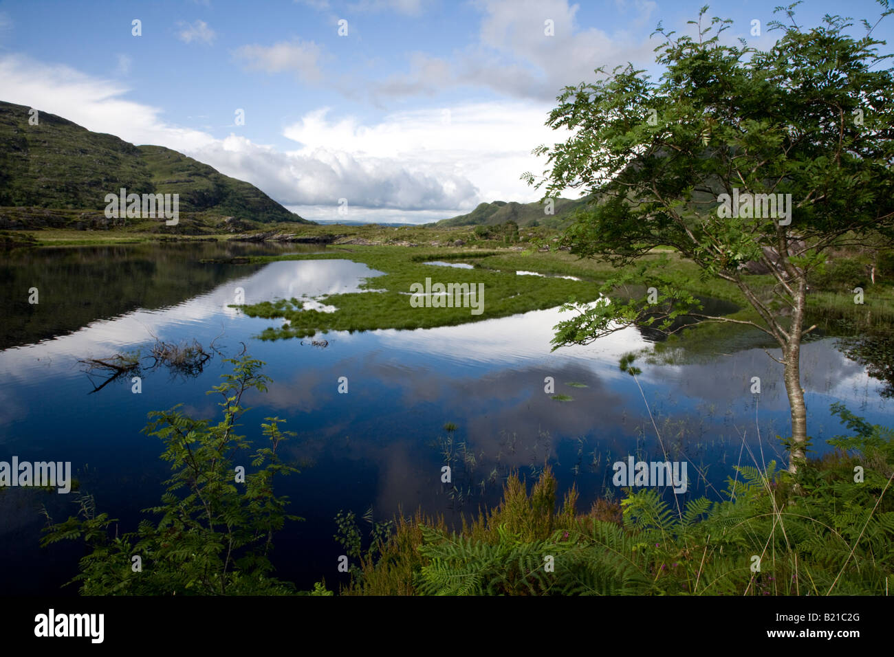 Ladies View, Ring of Kerry, Irland Stockfoto