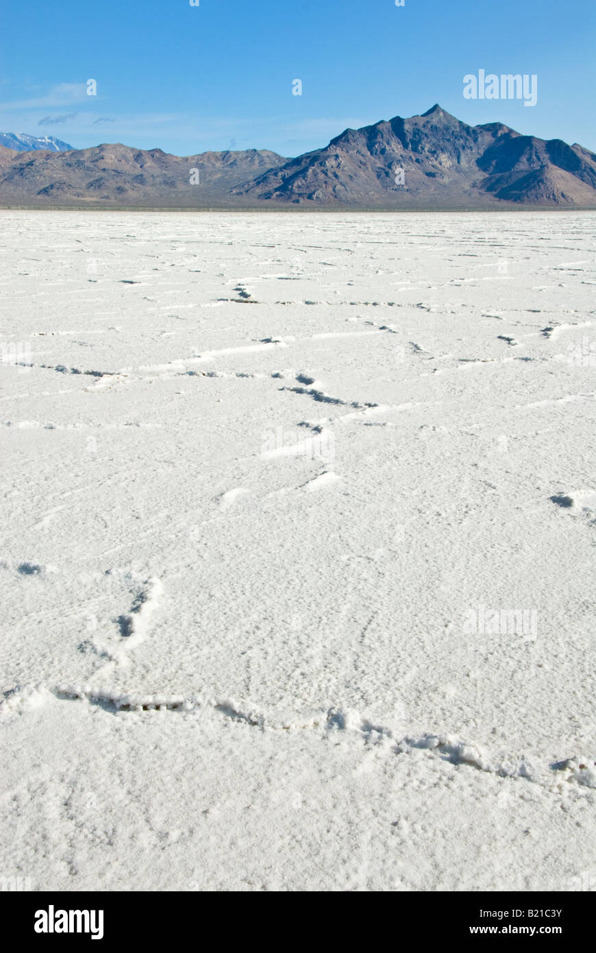 Bonneville Salt Flats in Utah Veranstaltungsort für automotive Geschwindigkeit Studien Stockfoto