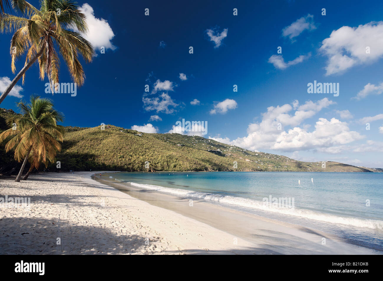 Magens Bay Morgen St Thomas U.S. Virgin Islands Stockfoto