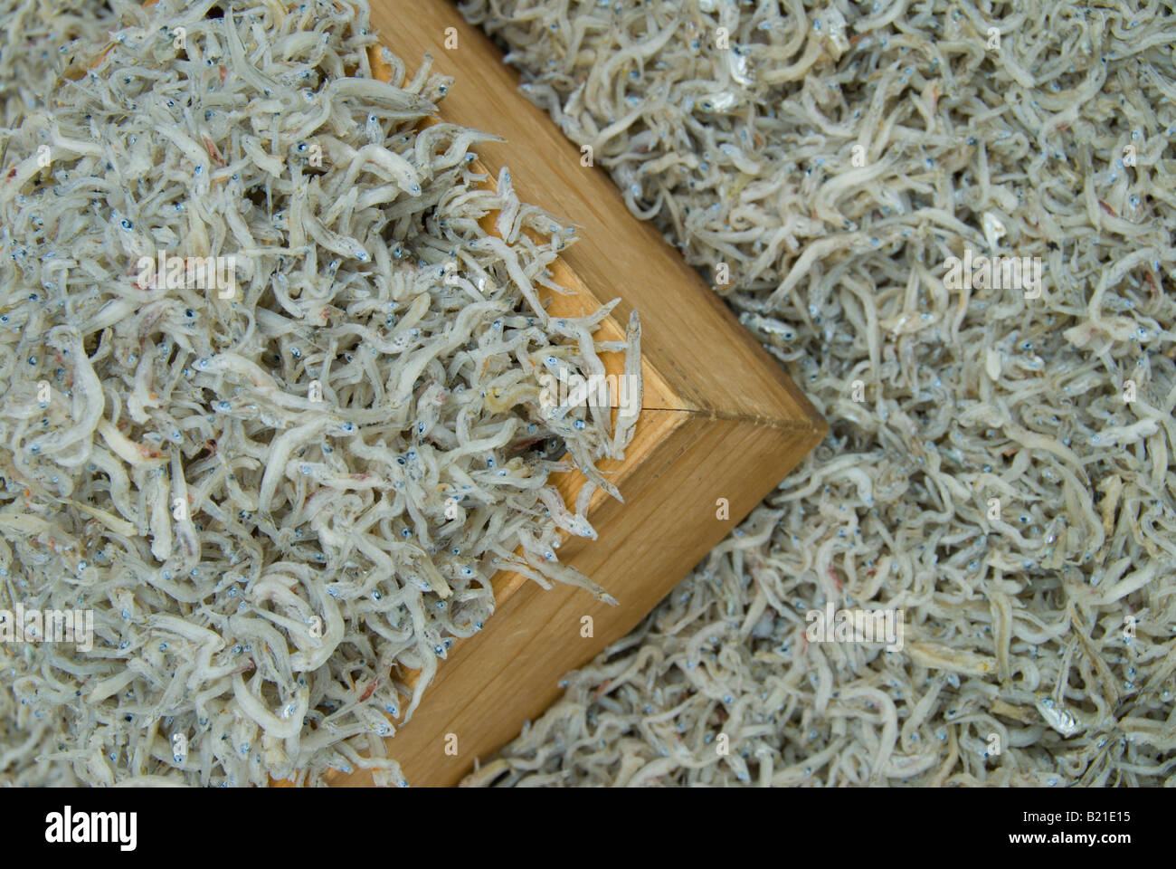 Getrockneten Sardellen zum Verkauf an einem Stall in Japan. Weißbarsch wird in Japan in einer Reihe von Gerichten, einschließlich als Topping für Reis verwendet. Stockfoto