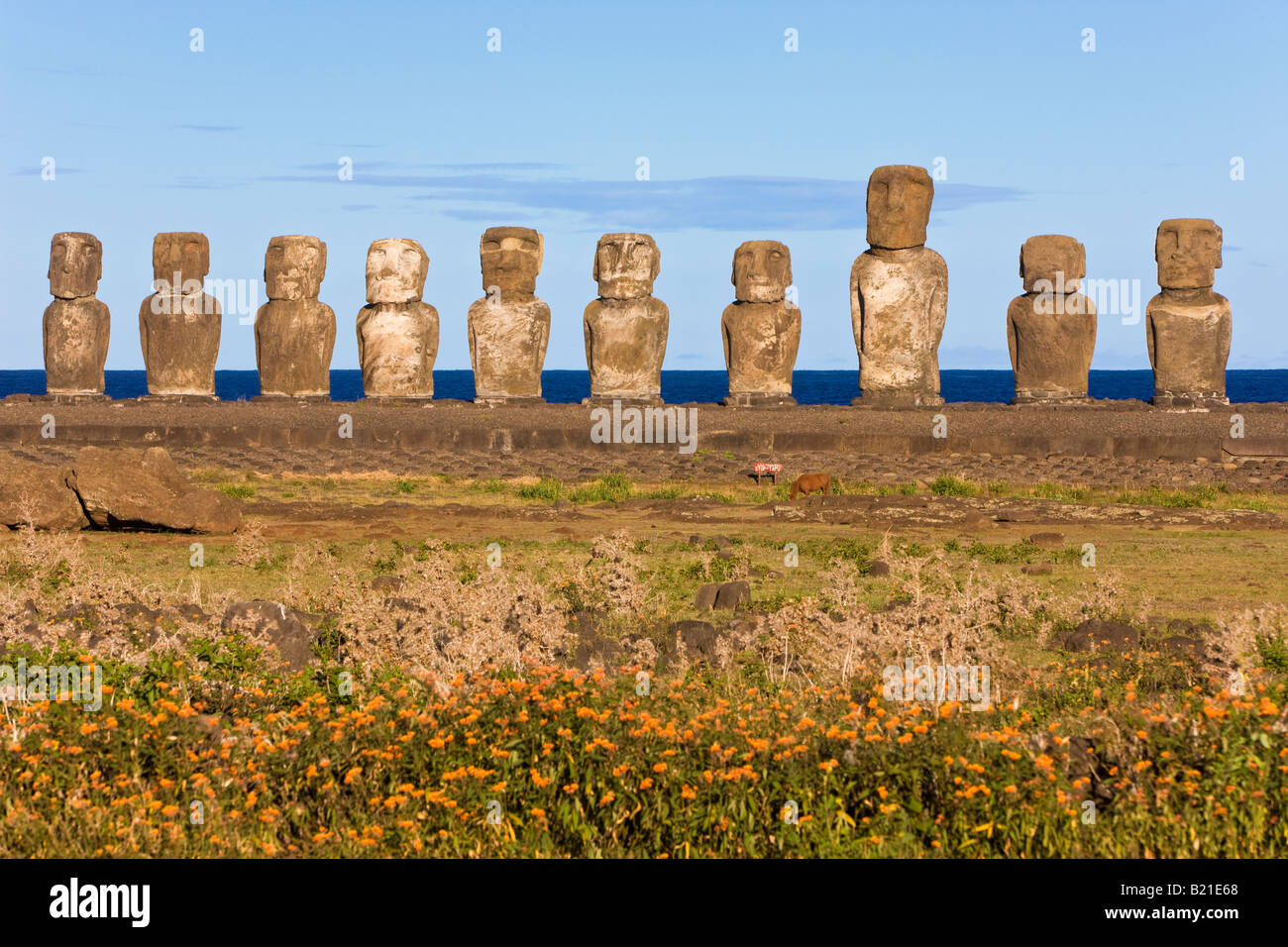 Südamerika Chile Rapa Nui Isla de Pascua Osterinsel Ahu Tongariki die größte Ahu auf der Insel Stockfoto