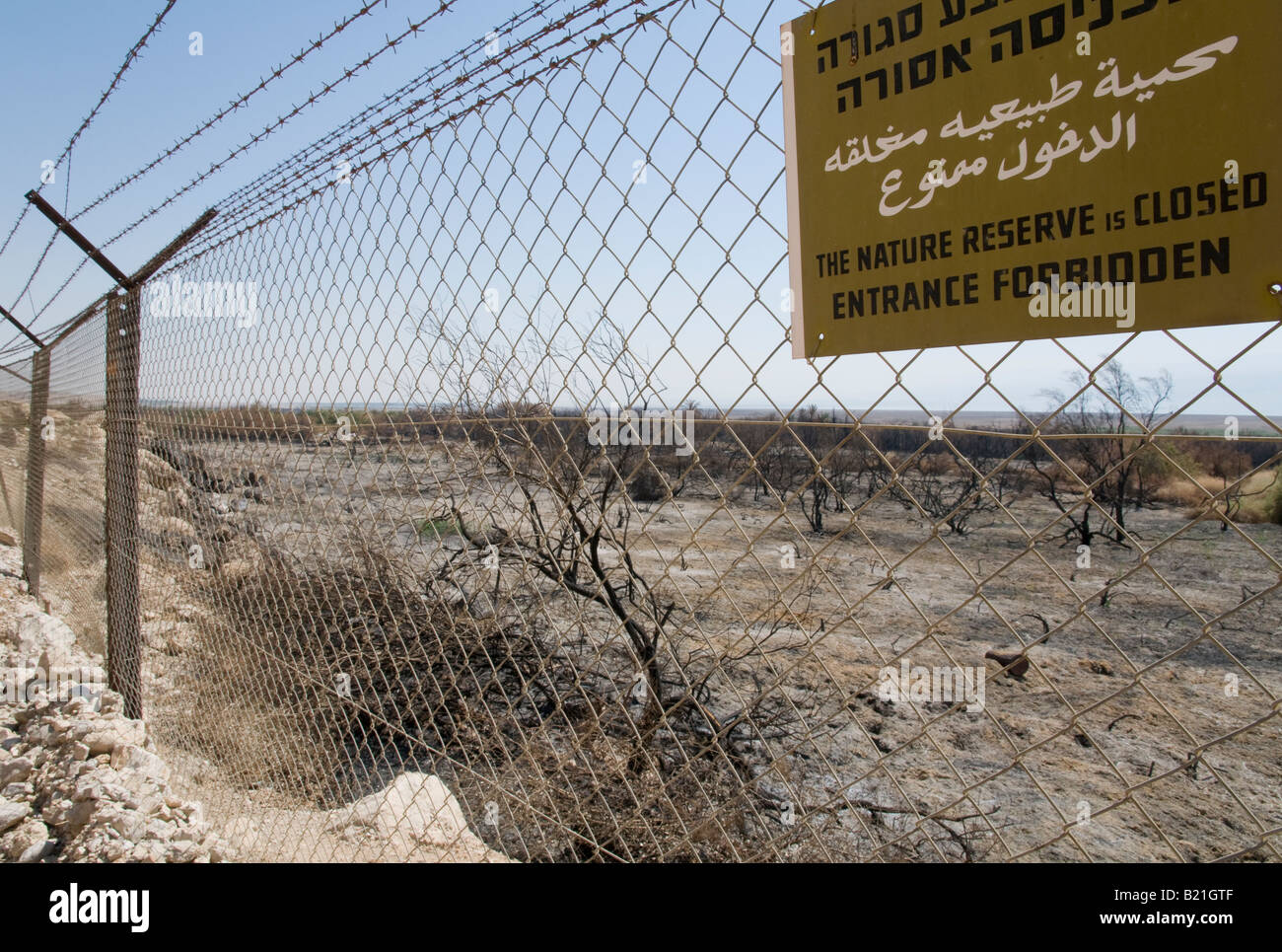 Israel Totes Meer Einot Zuqiom Nature Reserve Ansicht nach einem verheerenden Brand Stockfoto