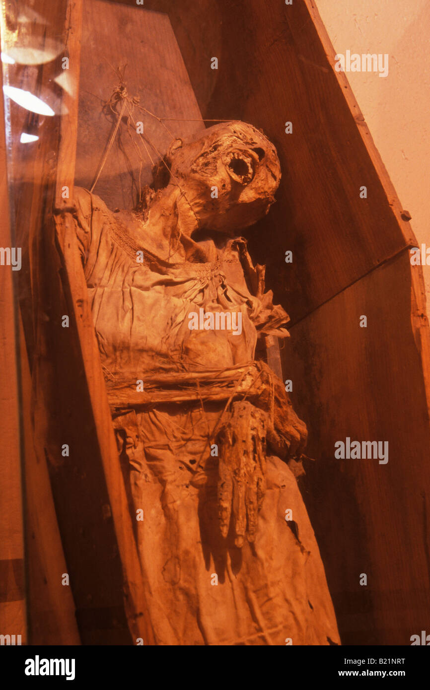 Mummy Museum Guanajuato Mexiko Stockfoto