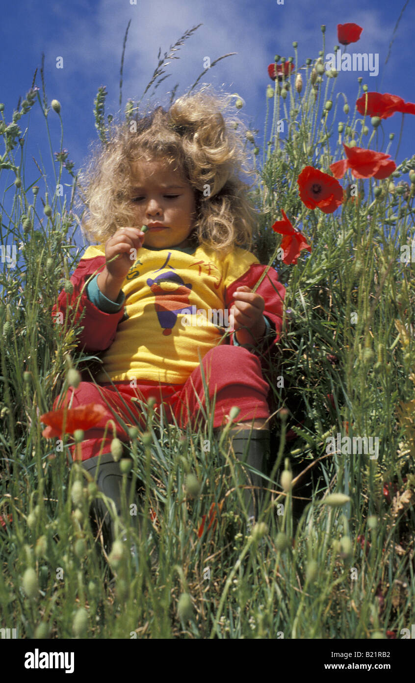 kleines Mädchen Kind spielen zwischen wilden Blumen Stockfoto