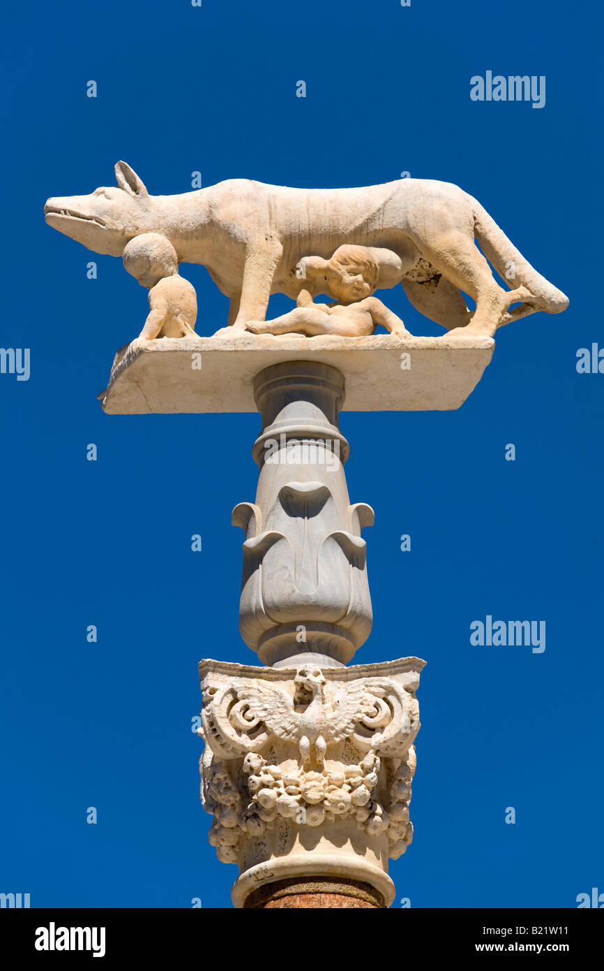 Remus und Romulus mit Wolf-Statue in der Nähe von Dom in Siena Stockfoto