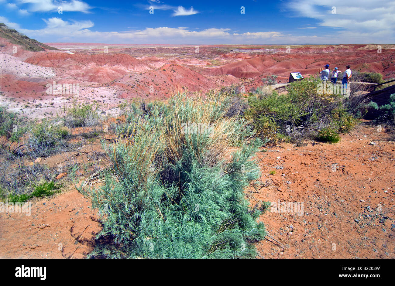 Touristen auf der Suche auf der Painted Desert im Petrified Forest National Park in Arizona Stockfoto