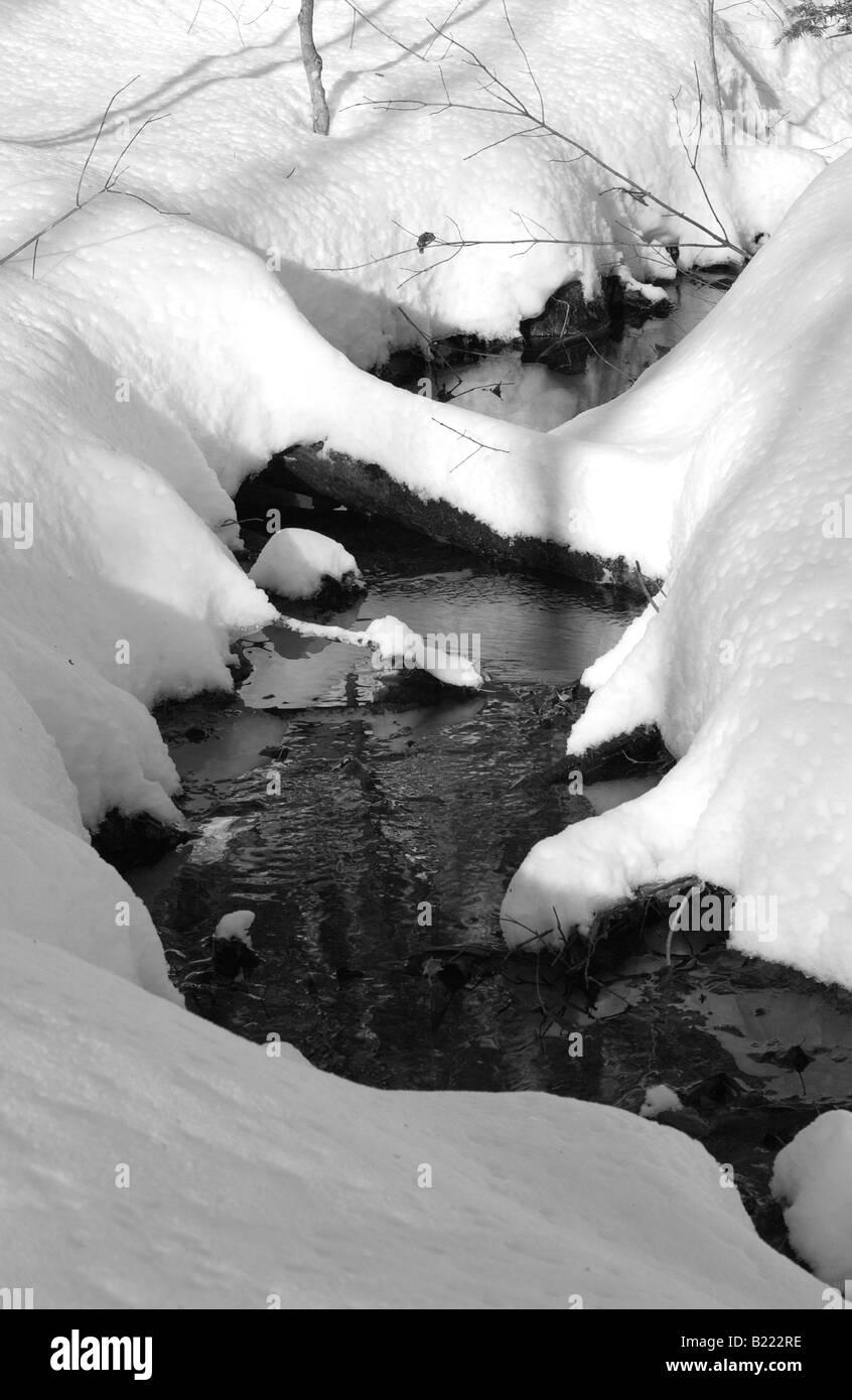 Die Winterserie erleben Sie Bilder, die die Essenz des kanadischen Winters zarten Winter Stream im Schnee Quebec Stockfoto