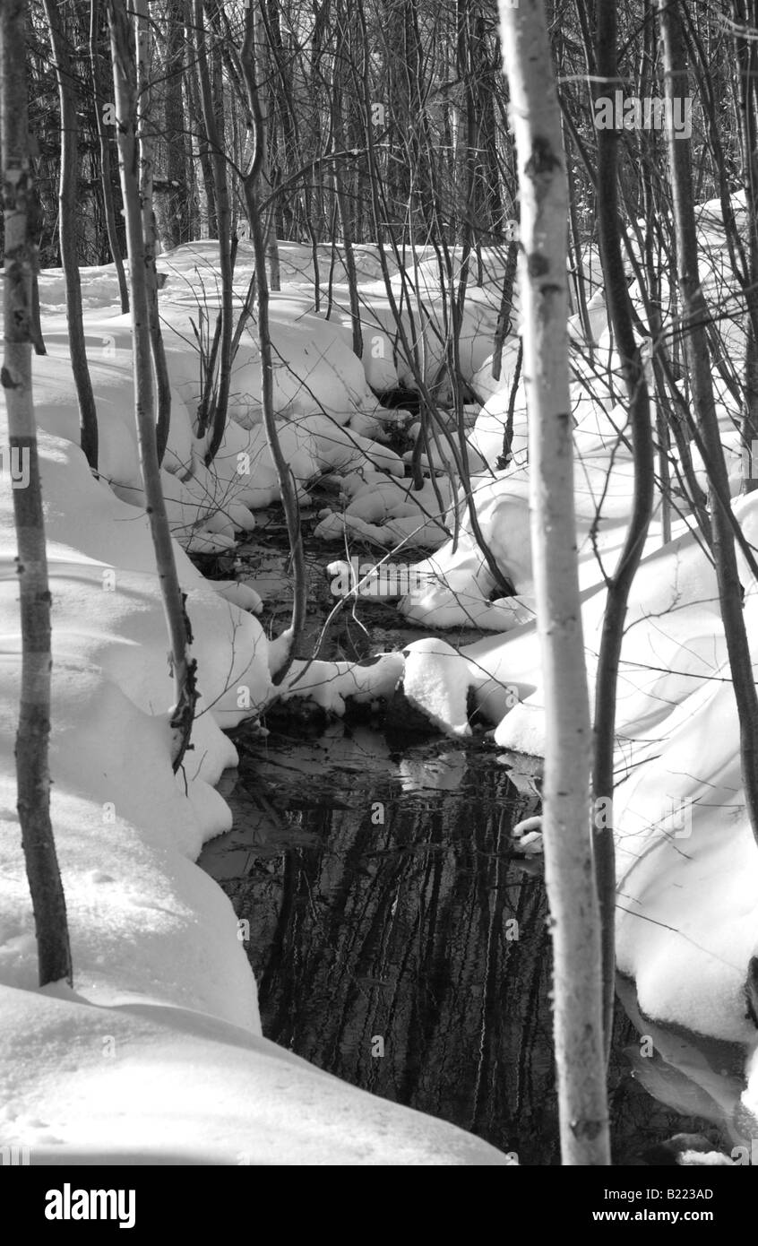Die Winterserie erleben Sie Bilder, die die Essenz des kanadischen Winters zarten Winter Stream im Schnee Quebec Stockfoto