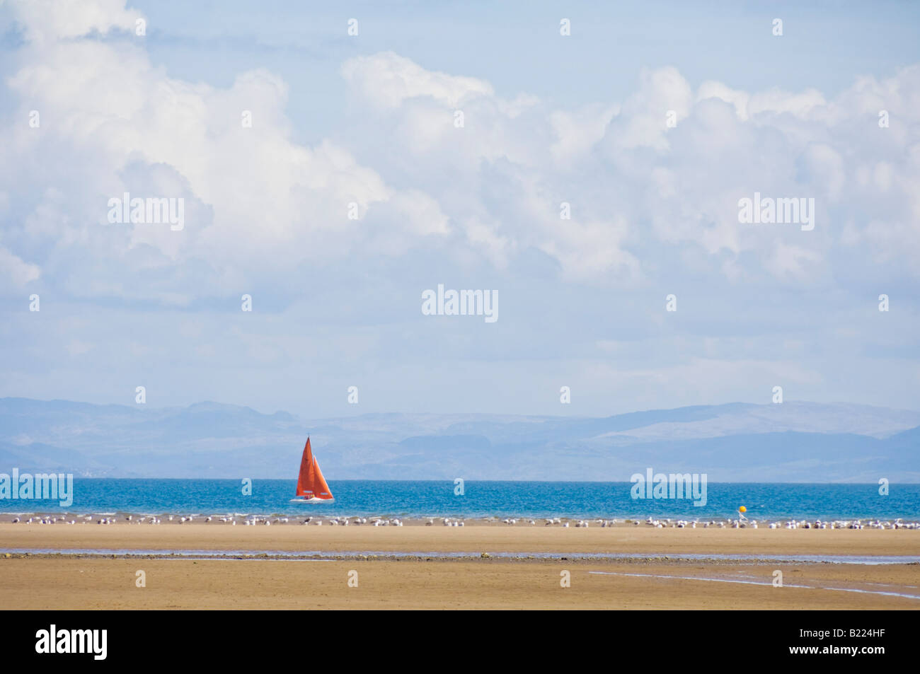 Rote Segel einer Yacht in der Cardigan Bay am Strand Warren Abersoch auf der Llyn Lleyn-Halbinsel Gwynedd North Wales UK GB Stockfoto