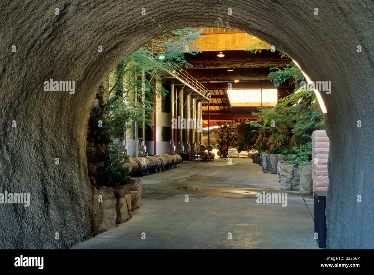 Wein-Höhle bei Eisenstein Weinberge in der Nähe von Murphys Calaveras County in Kalifornien Stockfoto