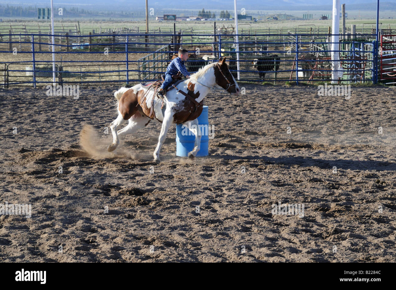 Land-Rodeo in der Nähe von Bryce Canyon in Utah, USA Stockfoto