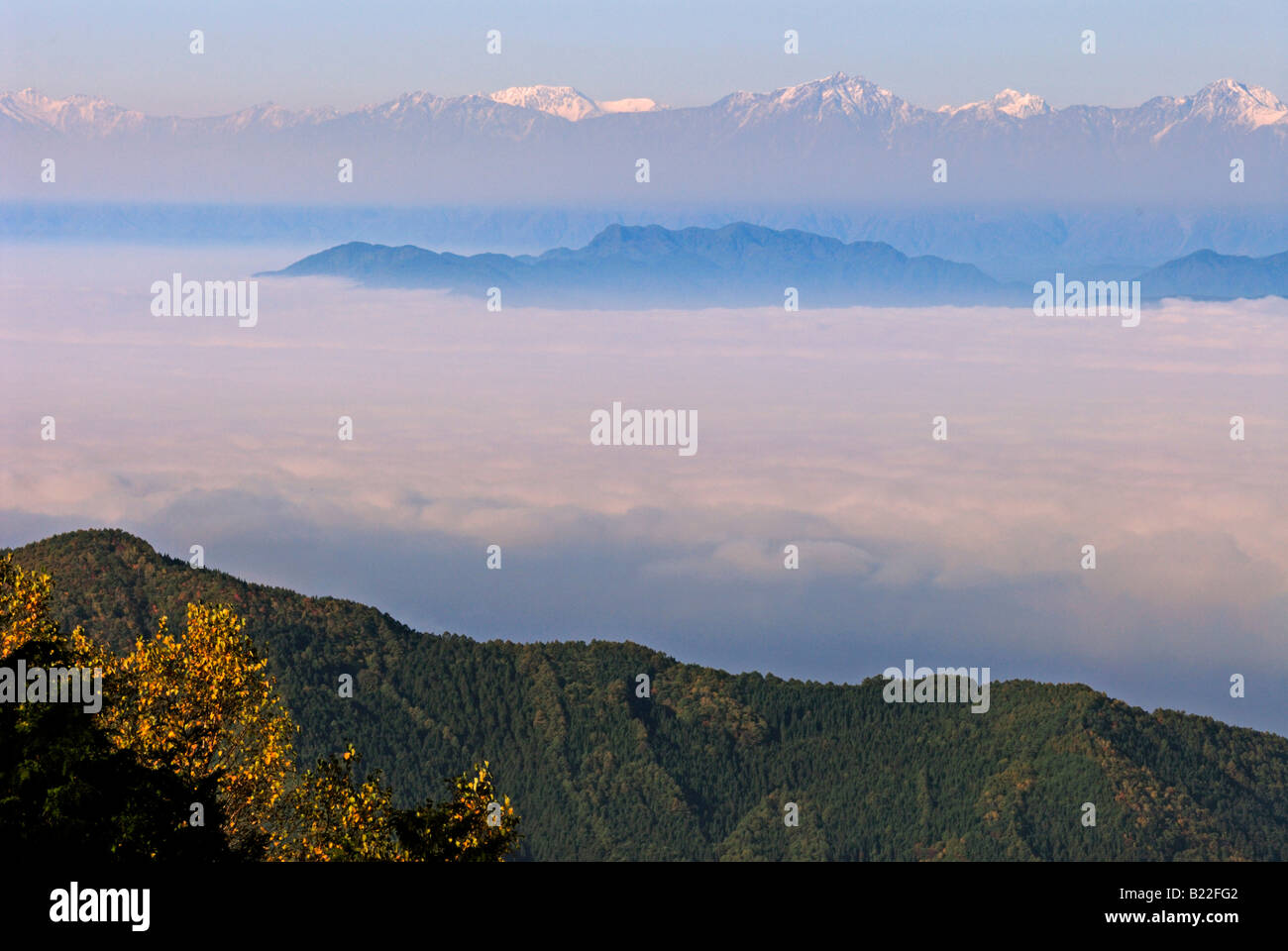 Landschaft der Alpen Shiga Kogen Höhen Joshin Etsu Nationalpark Japan Japan Stockfoto