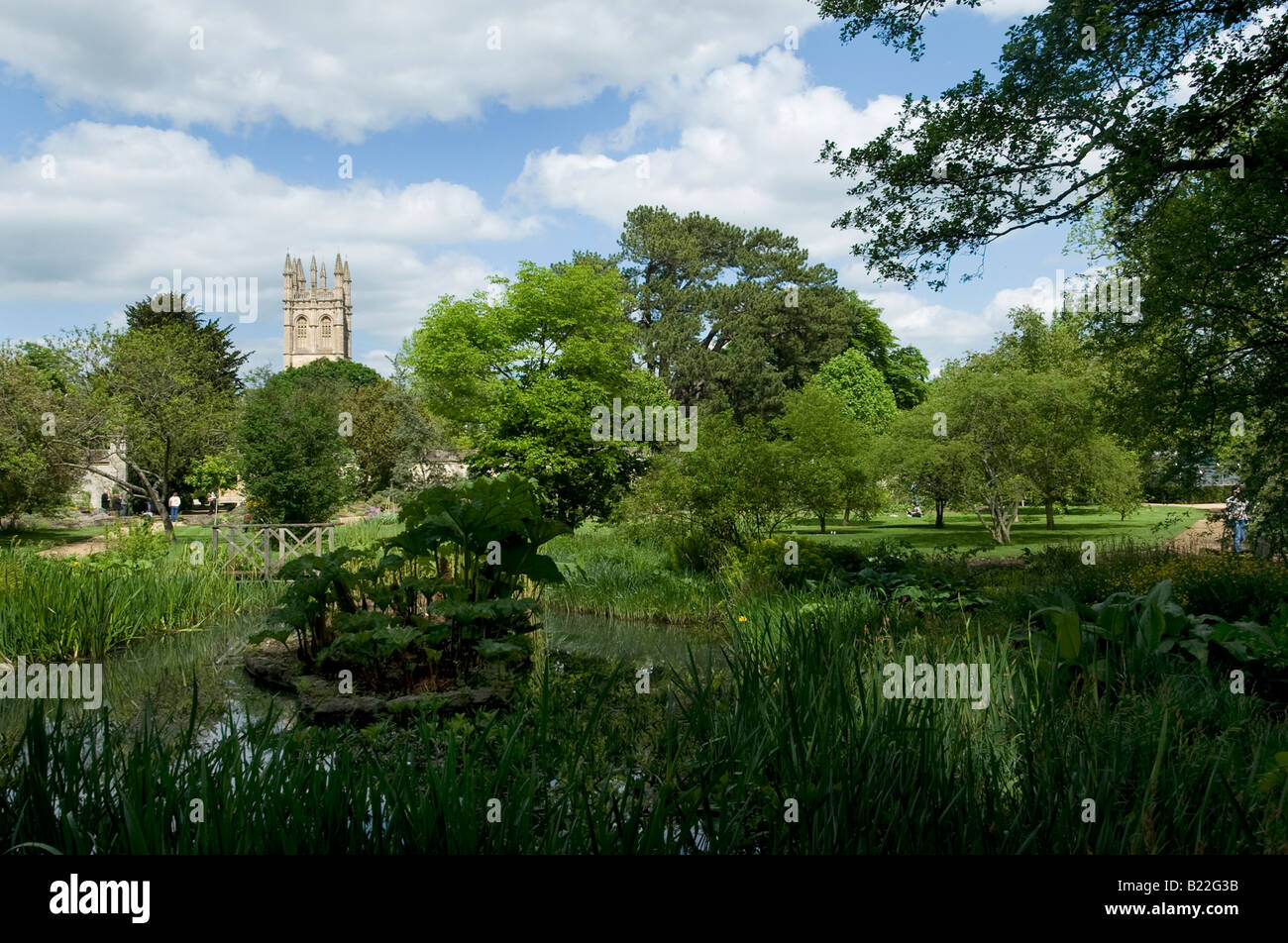 Der Botanische Garten in Oxford eines der ältesten medizinischen Gärten in Großbritannien blickt in Richtung Magdalen College Turm Stockfoto