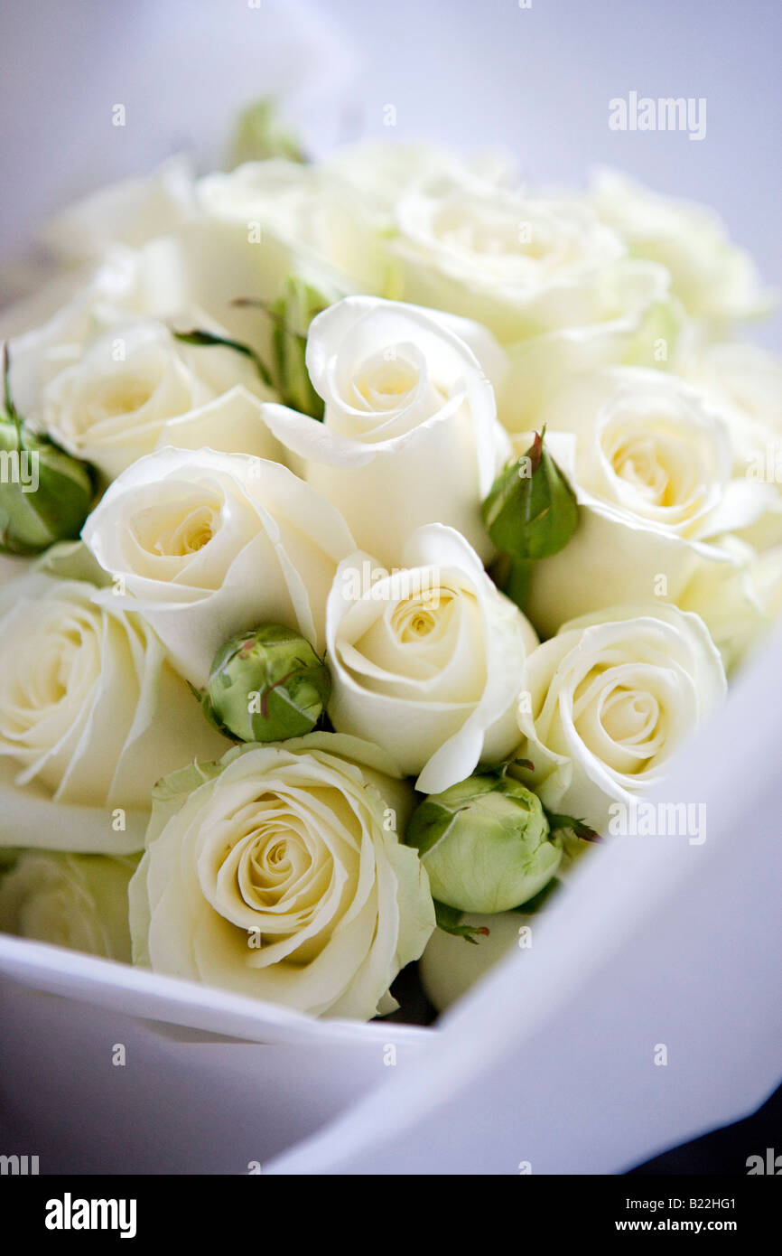 Brautstrauß aus weißen Rosen Stockfoto