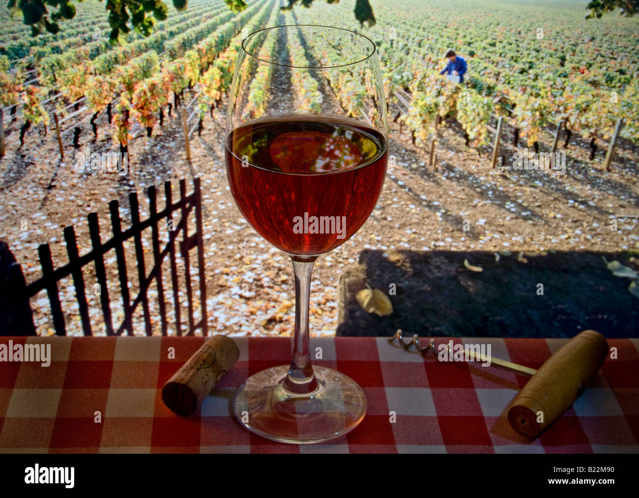 Rotwein Glas Verkostung alfresco auf Picknicktisch mit typischen französischen karierte Tischdecke, offene Tor zu herbstlichen Weinberg und Wein Arbeiter hinter sich. Frankreich Stockfoto